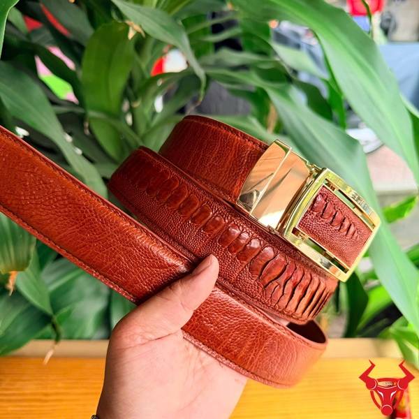 Thắt lưng da đà điểu nâu đỏ sáng phong cách doanh nhân