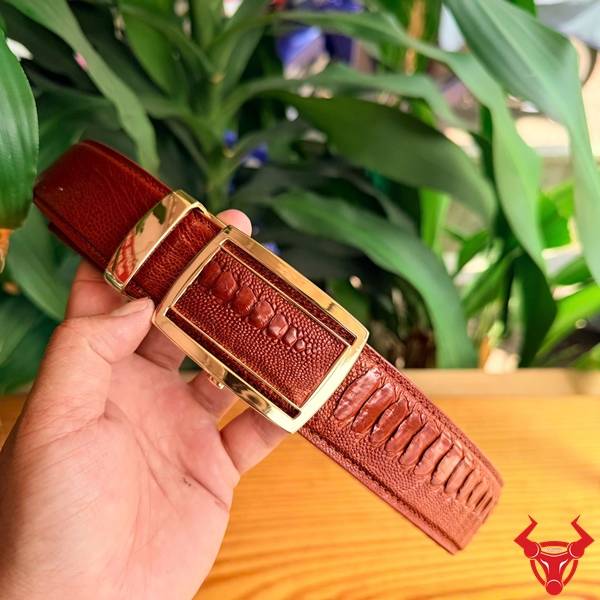 Dây nịt da đà điểu vảy chân lịch lãm