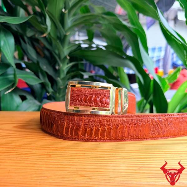 Thắt lưng da đà điểu bền đẹp cao cấp