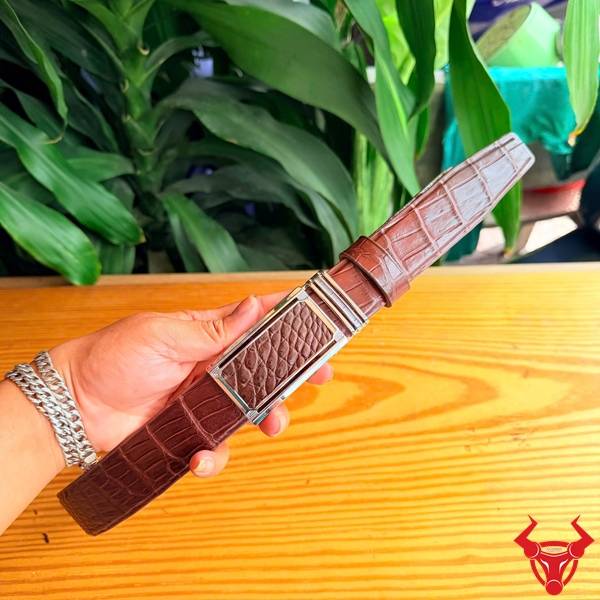 Thắt lưng da cá sấu gù TLA4B1 màu nâu cao cấp