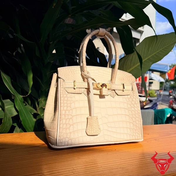 Túi Xách Da Cá Sấu Bạch Tạng TCA8 Đẳng Cấp Quý Phái Túi xách da cá sấu bạch tạng TCA8 đẳng cấp quý phái