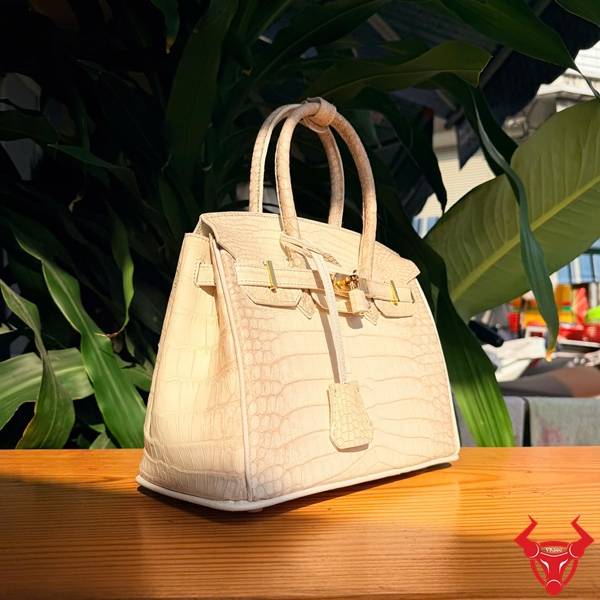 Túi Xách Nữ Da Cá Sấu Bạch Tạng TCA8 Phong Cách Quyền Lực Túi xách nữ da cá sấu bạch tạng TCA8 phong cách quyền lực