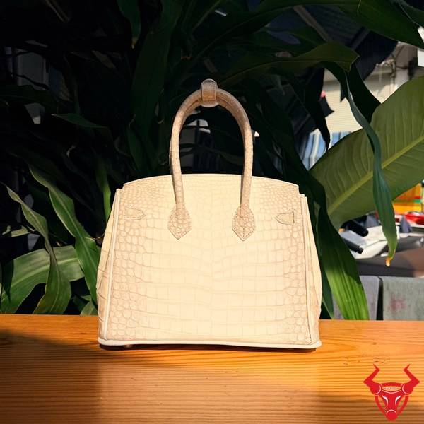 Túi Xách Cao Cấp Da Cá Sấu Bạch Tạng TCA8 Thời Trang Túi xách da cá sấu bạch tạng TCA8 thời trang cao cấp