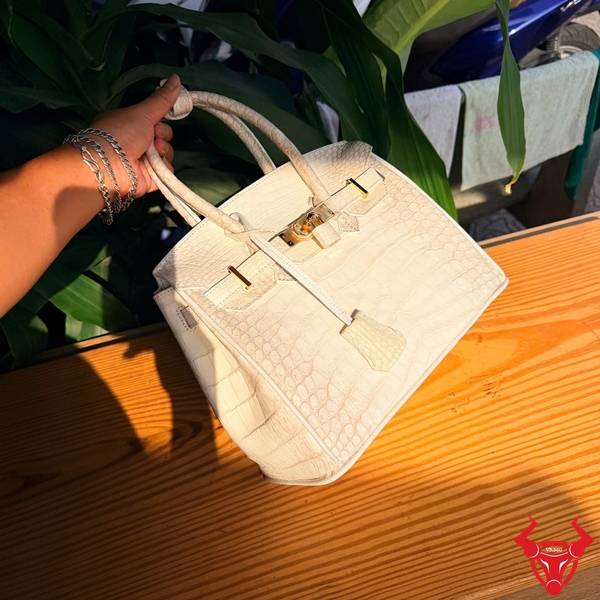 Túi Xách Da Cá Sấu Bạch Tạng TCA8 Sang Trọng Nổi Bật Túi xách da cá sấu bạch tạng TCA8 nổi bật sang trọng