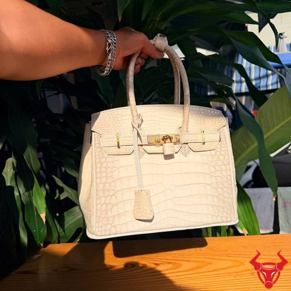 Túi Xách Nữ Da Cá Sấu Bạch Tạng TCA8 Đẳng Cấp Thượng Lưu Túi xách da cá sấu bạch tạng TCA8 đẳng cấp thượng lưu