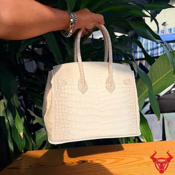 Túi Xách Da Cá Sấu Bạch Tạng TCA8 Tinh Tế Sang Trọng Túi xách da cá sấu bạch tạng TCA8 tinh tế cao cấp