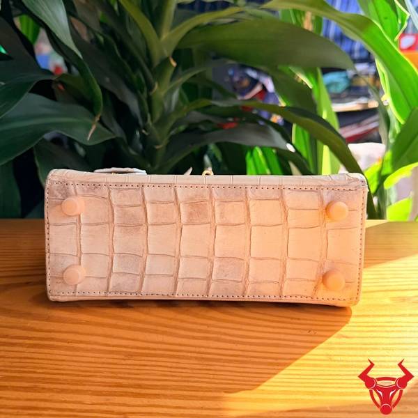 Túi Xách Da Cá Sấu Bạch Tạng TKLA8 Đẳng Cấp Nhỏ Gọn Túi xách da cá sấu TKLA8 nhỏ gọn đẳng cấp