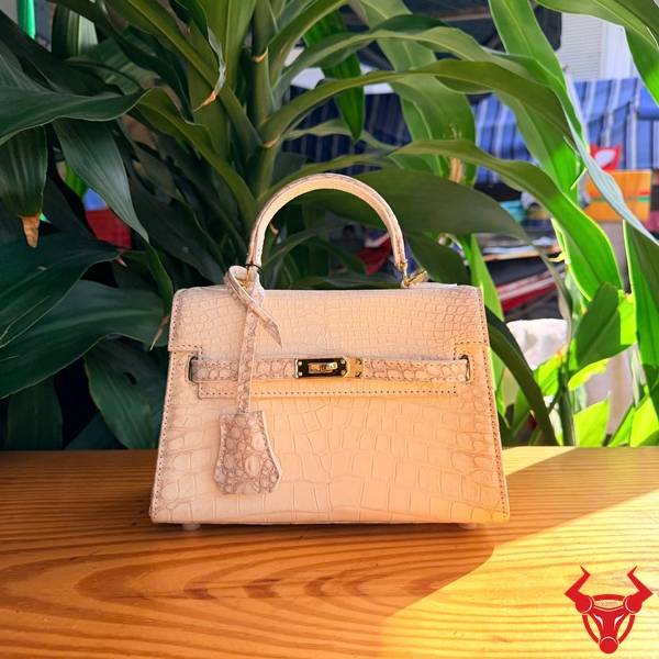 Túi Xách Nữ Da Cá Sấu Bạch Tạng TKLA8 Size 22cm Cao Cấp Túi xách nữ da cá sấu bạch tạng size 22cm TKLA8 nhỏ gọn