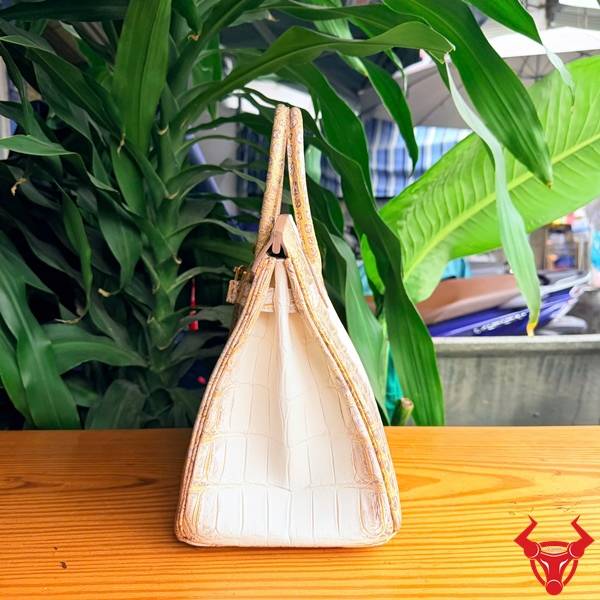 Túi xách nữ da cá sấu thanh lịch TCBA8
