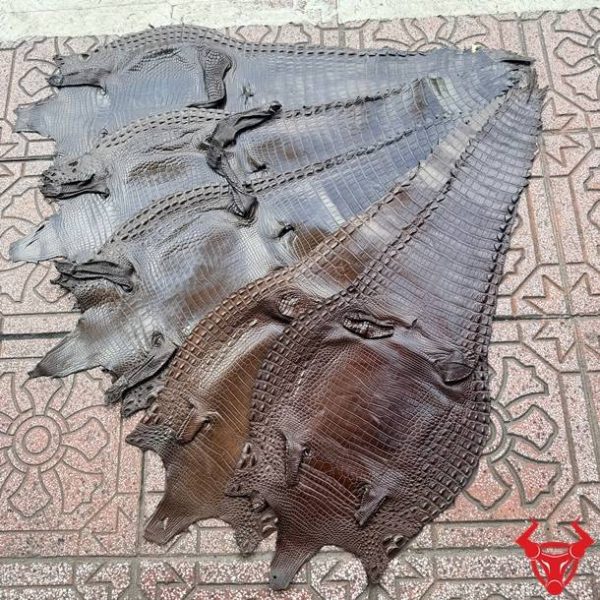 Da bụng cá sấu nguyên tấm Size 3 màu nâu đen có vân đều, ít sẹo, phù hợp chế tác đồ da cao cấp.