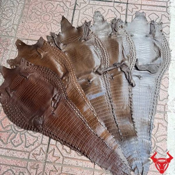 Da bụng cá sấu nguyên tấm màu nâu đen với vân tự nhiên đều đẹp, ít sẹo và độ bền cao.
