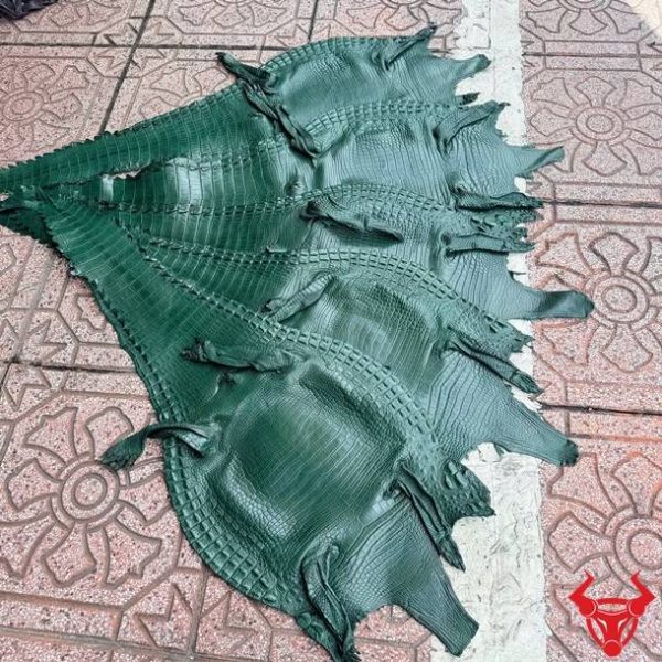 Da bụng cá sấu nguyên tấm Size 3 màu xanh lá với vân da đều, ít sẹo và độ bền vượt trội.
