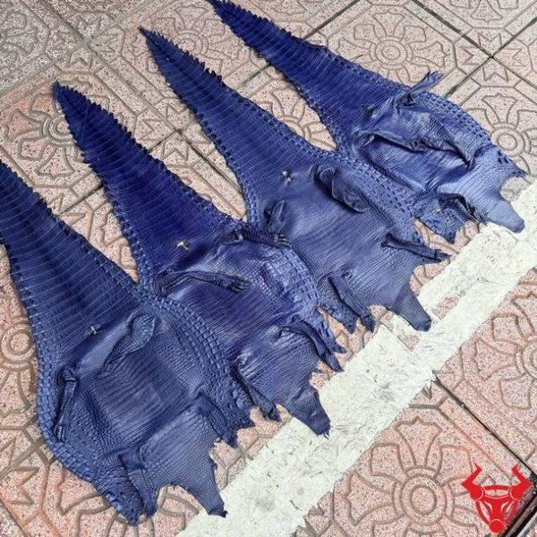 Da bụng cá sấu màu xanh navy Size 3 lớn với vân tự nhiên đều, ít sẹo và chất lượng cao.