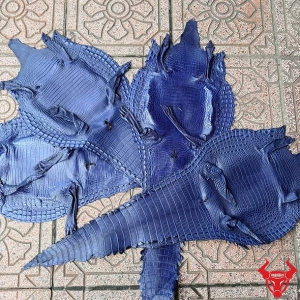 Da bụng cá sấu nguyên tấm màu xanh navy Size 3 lớn với vân da đều đẹp, ít sẹo và đẳng cấp.