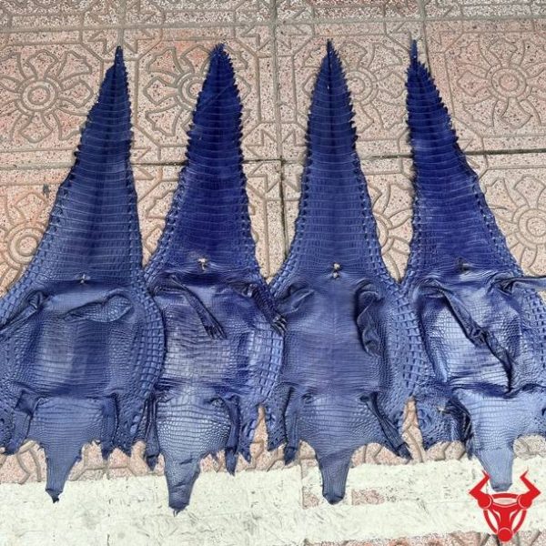 Da bụng cá sấu nguyên tấm Size 3 màu xanh navy với bề mặt vân đều, ít sẹo và độ bền cao.