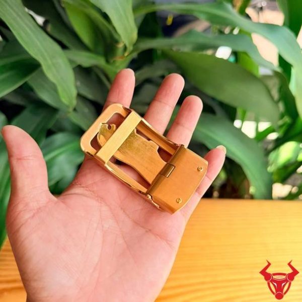 Mặt khóa ray trượt tự động K139 hình con hổ cao cấp.