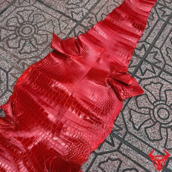 Da cá sấu bóng kính size 5 nhỏ bỏ gai màu đỏ với bề mặt bóng đẹp và vân tự nhiên.