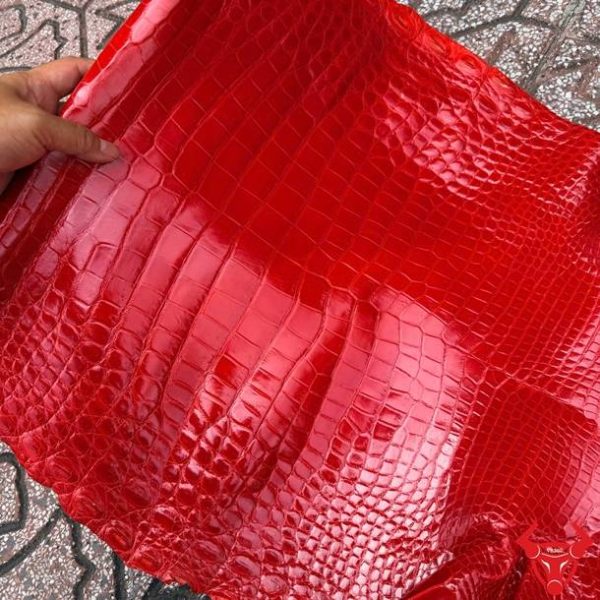 Tấm da cá sấu bóng kính màu đỏ size 5 nhỏ bỏ gai với đường vân cân xứng.