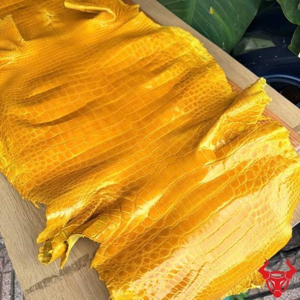 Tấm da cá sấu bóng kính màu vàng size 5 nhỏ bỏ gai với đường vân cân đối và đẹp mắt.
