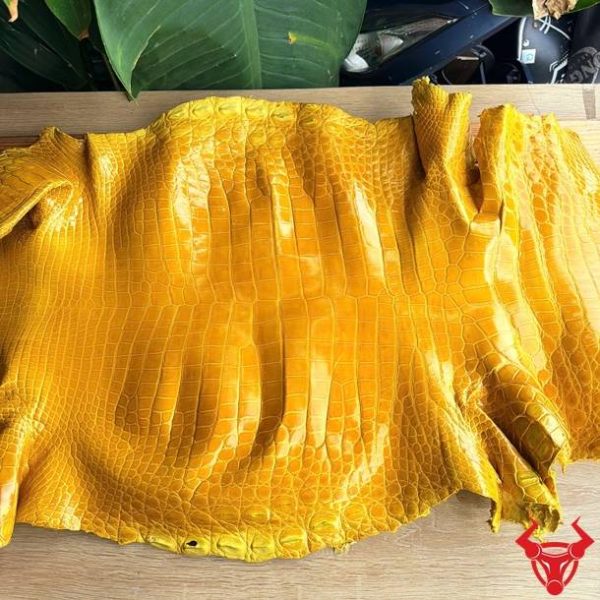 Da cá sấu bóng kính size 5 nhỏ bỏ gai màu vàng, bề mặt bóng đẹp và vân đều tự nhiên.