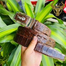 Thắt lưng da cá sấu TLA4B2 khóa trắng sang trọng, bền bỉ, cao cấp, lịch lãm.