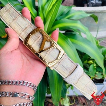 Thắt Lưng Da Cá Sấu Bạch Tạng Kết Hợp Khóa Thép Chữ V TSK20