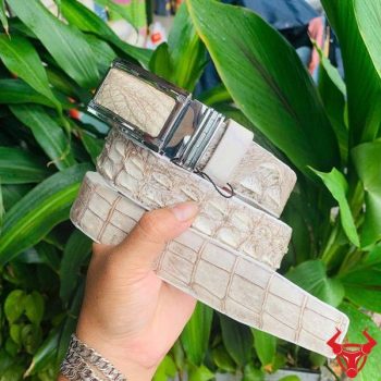 Thắt Lưng Da Cá Sấu Bạch Tạng Gù Liền TLA4B2 Dài 1m