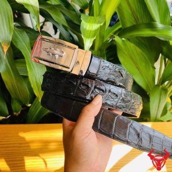 Thắt Lưng Liền Da Cá Sấu Màu Đen 3,5cm Khóa Trắng Hợp Kim Cao Cấp
