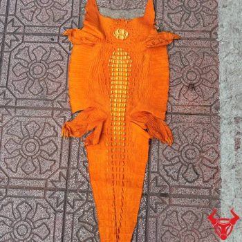 Da Cá Sấu Nguyên Tấm Màu Cam Size 51 Vật Liệu Cao Cấp