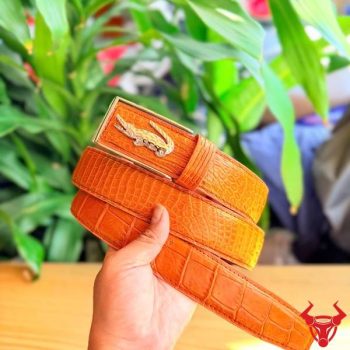 Thắt Lưng Da Cá Sấu Thái Lan – Dây Liền – Mặt Khóa Thép Tỳ TSK135 Màu Vàng Cam