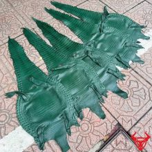 Da bụng cá sấu màu xanh lá Size 3 lớn với vân tự nhiên đều đẹp, ít sẹo và chất lượng cao.
