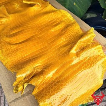 Da Cá Sấu Bóng Kính Mổ Lưng Size 5 Nhỏ Bỏ Gai Màu Vàng Cao Cấp