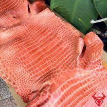 Da cá sấu bóng kính cao cấp size 5X màu hồng có vân tự nhiên đẹp mắt.