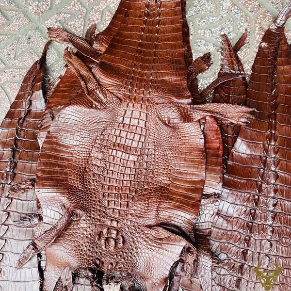 Da cá sấu gai lưng nguyên tấm size 3 lớn có vân đẹp