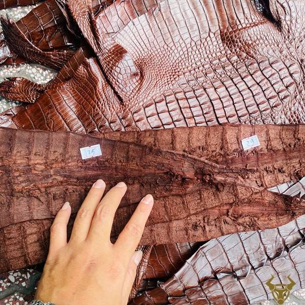 Da cá sấu nguyên tấm gai lưng nâu đất size 3 lớn bền bỉ