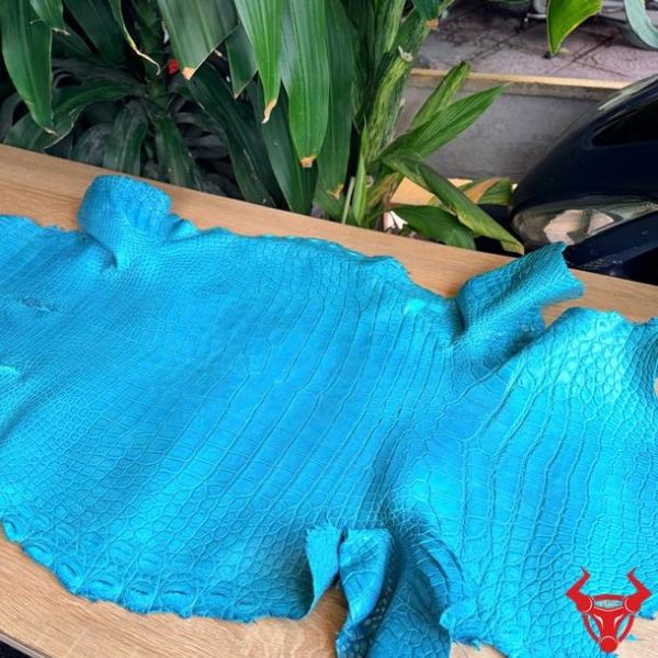 Da Cá Sấu Thái Lan Bỏ Gai Xanh Lam Size 4 Vân Tự Nhiên Da cá sấu Thái Lan nguyên tấm bỏ gai size 4 lớn màu xanh lam vân đẹp