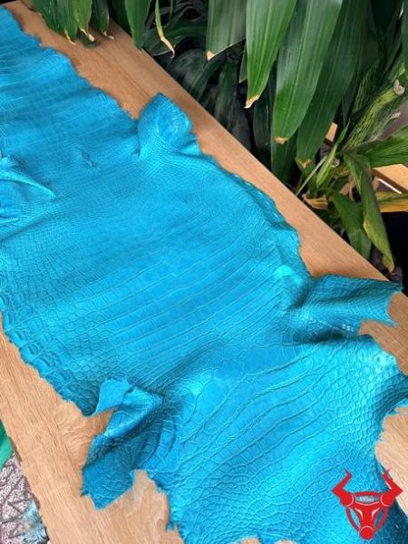 Da Cá Sấu Nguyên Tấm Thái Lan Xanh Lam Cao Cấp Da cá sấu Thái Lan bỏ gai size 4 màu xanh lam vân tự nhiên