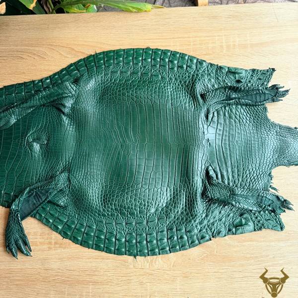 Da cá sấu thuộc nguyên tấm size 4 nhỏ màu xanh lá cao cấp