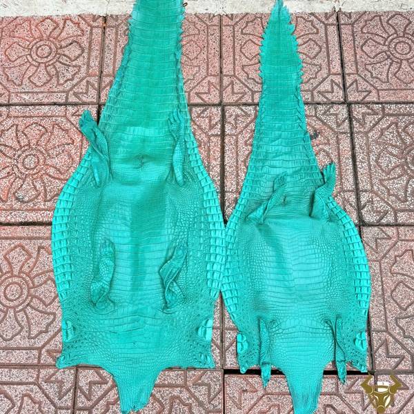 Da cá sấu thuộc xanh ngọc size 4 lớn dùng thiết kế đồ da