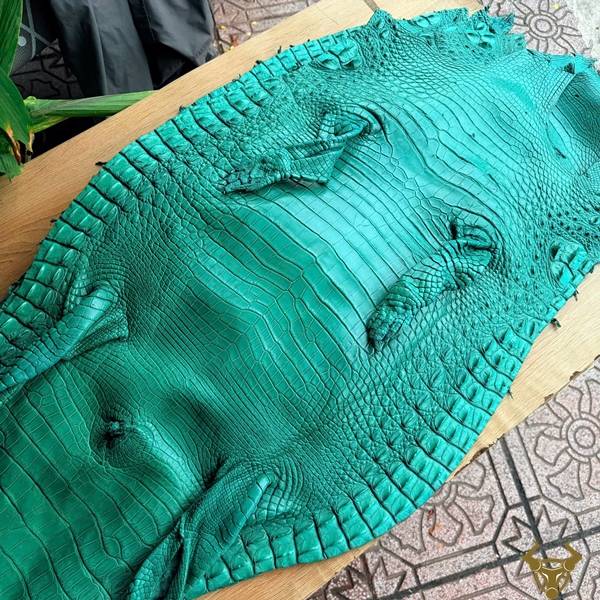 Da cá sấu nguyên tấm xanh ngọc size 4 lớn dễ gia công