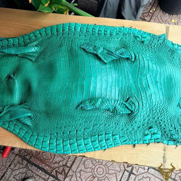 Da cá sấu thuộc màu xanh ngọc size 4 lớn phong cách thời trang